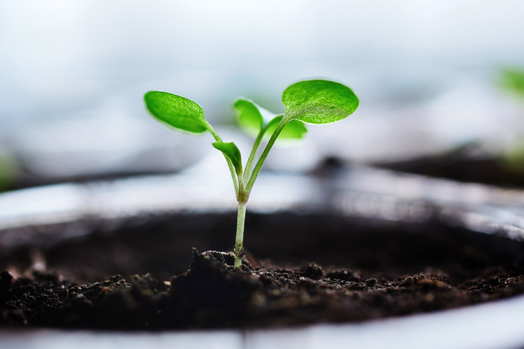 Environment, Social & Governance beleid