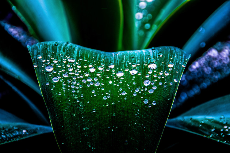 Freerk Visser - Sustainability Manager