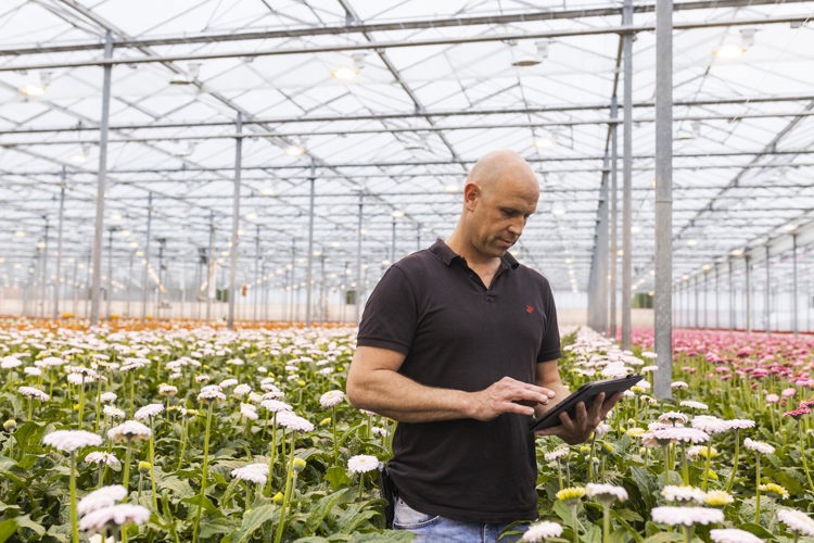 HISTORIAS DE CLIENTES DE IIVO