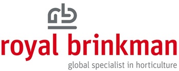 Royal Brinkman